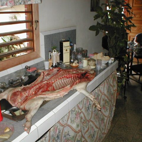 Bistec de Cerdo con Congris